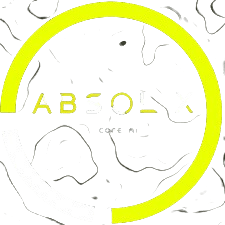 AbsolX